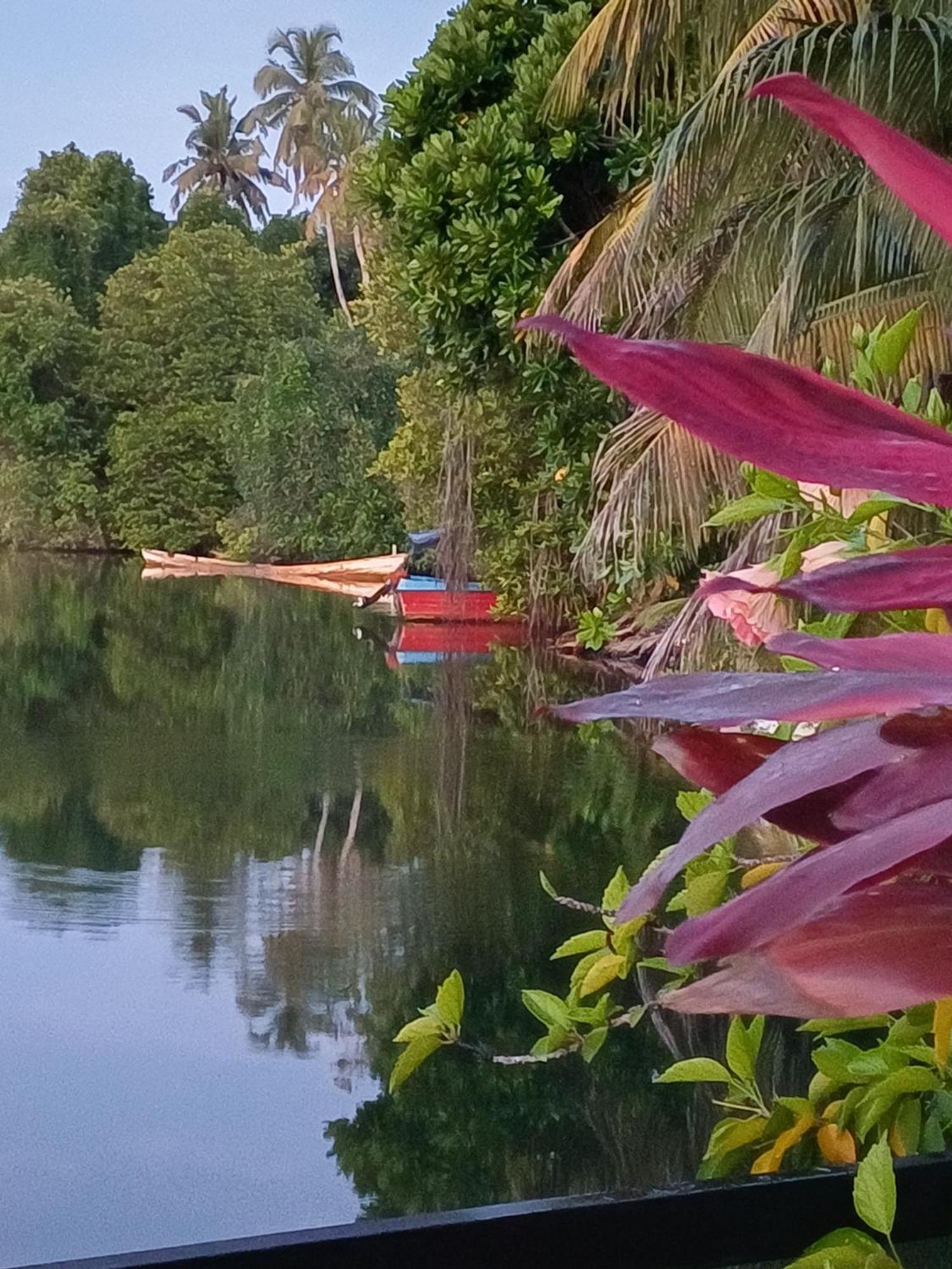 Villa River View Aluthgama Exterior foto